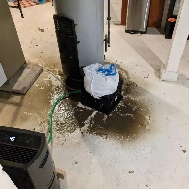 Sewage Backup Cleanup Service in Dalton, PA